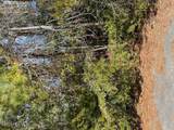 38 Lot Cedar Find Cove - Photo 3