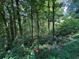 Lt 64/65 Rocky Knob Estates - Photo 10