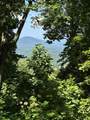 Lt 64/65 Rocky Knob Estates - Photo 11