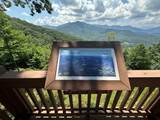 Lt 64/65 Rocky Knob Estates - Photo 14