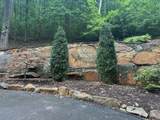 Lt 64/65 Rocky Knob Estates - Photo 3