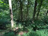 Lt 64/65 Rocky Knob Estates - Photo 9