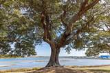 1.75ac Flamingo Lane - Photo 26