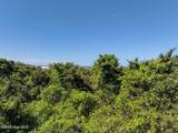 11 Royal Tern Court - Photo 8