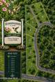 Lot 4 Hummingbird Dr - Photo 2