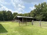 1527 Castalia Road - Photo 36