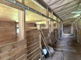 1527 Castalia Road - Photo 37