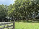 1527 Castalia Road - Photo 49