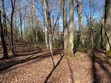 TBD Collett Wood Cove - Photo 1
