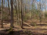 TBD Collett Wood Cove - Photo 4