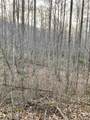 00 Carringer Road - Photo 3