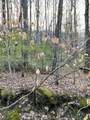 00 Carringer Road - Photo 6