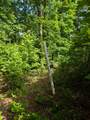 TR 2 Flacon - Photo 13