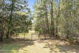 4160 Freedom Way - Photo 8
