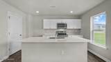 503 Chestnut Oak Drive - Photo 9