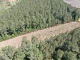 20.51 Acre Sweat Drive - Photo 11