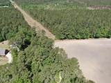 20.51 Acre Sweat Drive - Photo 12