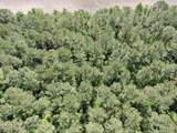20.51 Acre Sweat Drive - Photo 13