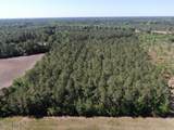 20.51 Acre Sweat Drive - Photo 2