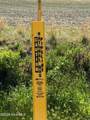 20.51 Acre Sweat Drive - Photo 4