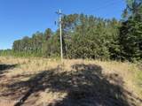 20.51 Acre Sweat Drive - Photo 6