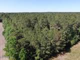 20.51 Acre Sweat Drive - Photo 7