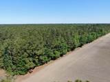 20.51 Acre Sweat Drive - Photo 8