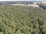 20.51 Acre Sweat Drive - Photo 9