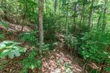Lot 56 Indian Rock Springs - Photo 10
