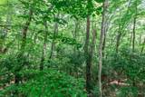 Lot 56 Indian Rock Springs - Photo 12