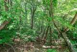 Lot 56 Indian Rock Springs - Photo 8