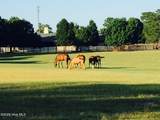 Tbd Addor Road - Photo 26
