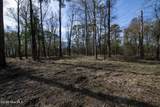 Lot 6 Peninsula Shores Way - Photo 6