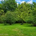 534 Madison Street - Photo 23