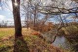 00 Leaping Trout - Photo 4