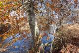 00 Leaping Trout - Photo 5