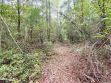 Lot 45 Near 519 Deer Lane - Photo 10