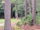 Lot 45 Near 519 Deer Lane - Photo 12