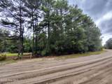 Lot 45 Near 519 Deer Lane - Photo 2