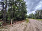Lot 45 Near 519 Deer Lane - Photo 4