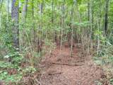 Lot 45 Near 519 Deer Lane - Photo 7