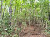 Lot 45 Near 519 Deer Lane - Photo 8