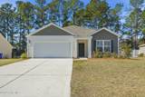 205 Wild Raven Street - Photo 1