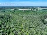 35 Acres Yarborough Road - Photo 7