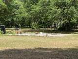 1029 Horseshoe B Road - Photo 6