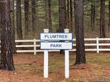 238 Plumtree Circle - Photo 15