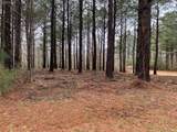 238 Plumtree Circle - Photo 4