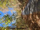 0 Confederate Drive - Photo 17