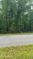 Lot 18 Long Horn - Photo 7
