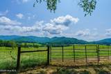 51.20 Ac Bethabara Road - Photo 10